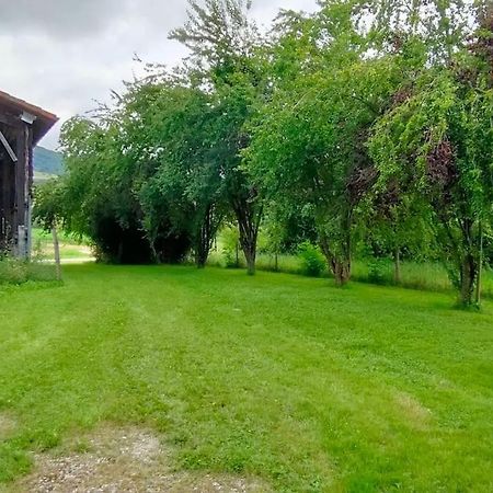 Superbe Demeure Au Coeur Des Pyrenees Ariegeoises Villa Montels  Luaran gambar